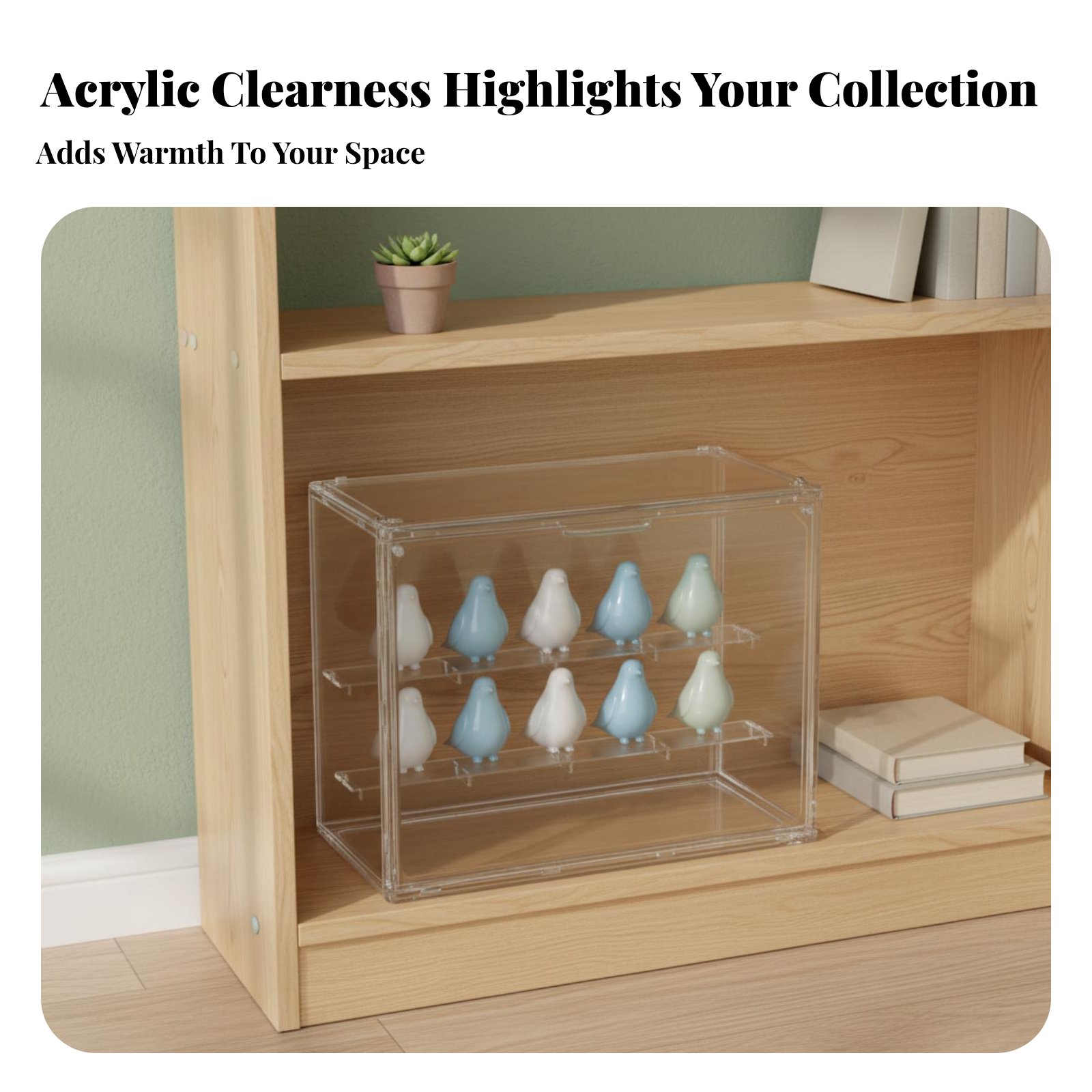 Clear Acrylic Display Case Hig - Display Case Acrylic recensione e prezzo