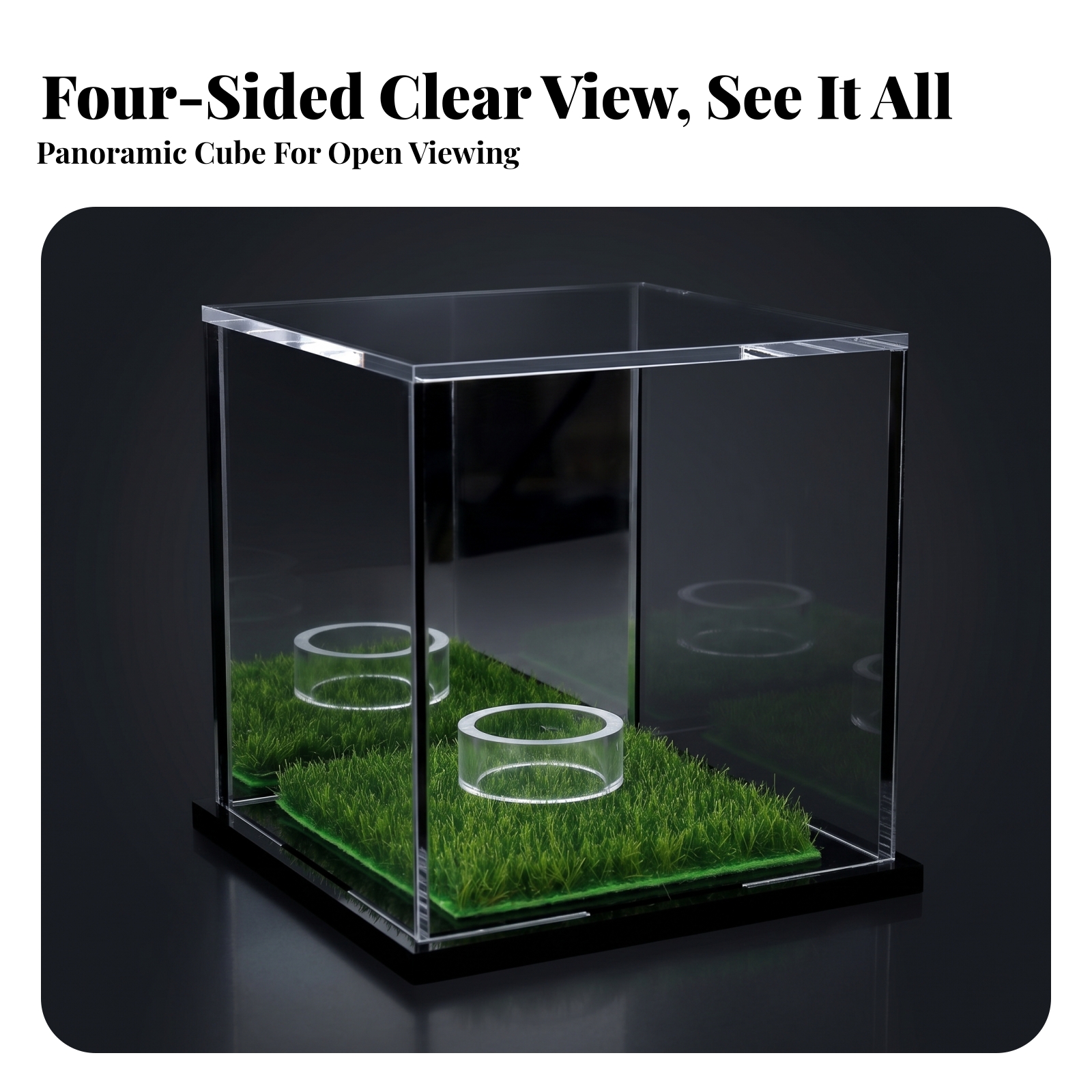 Acrylic Display Case Easy to C - Display Case Acrylic recensione e prezzo