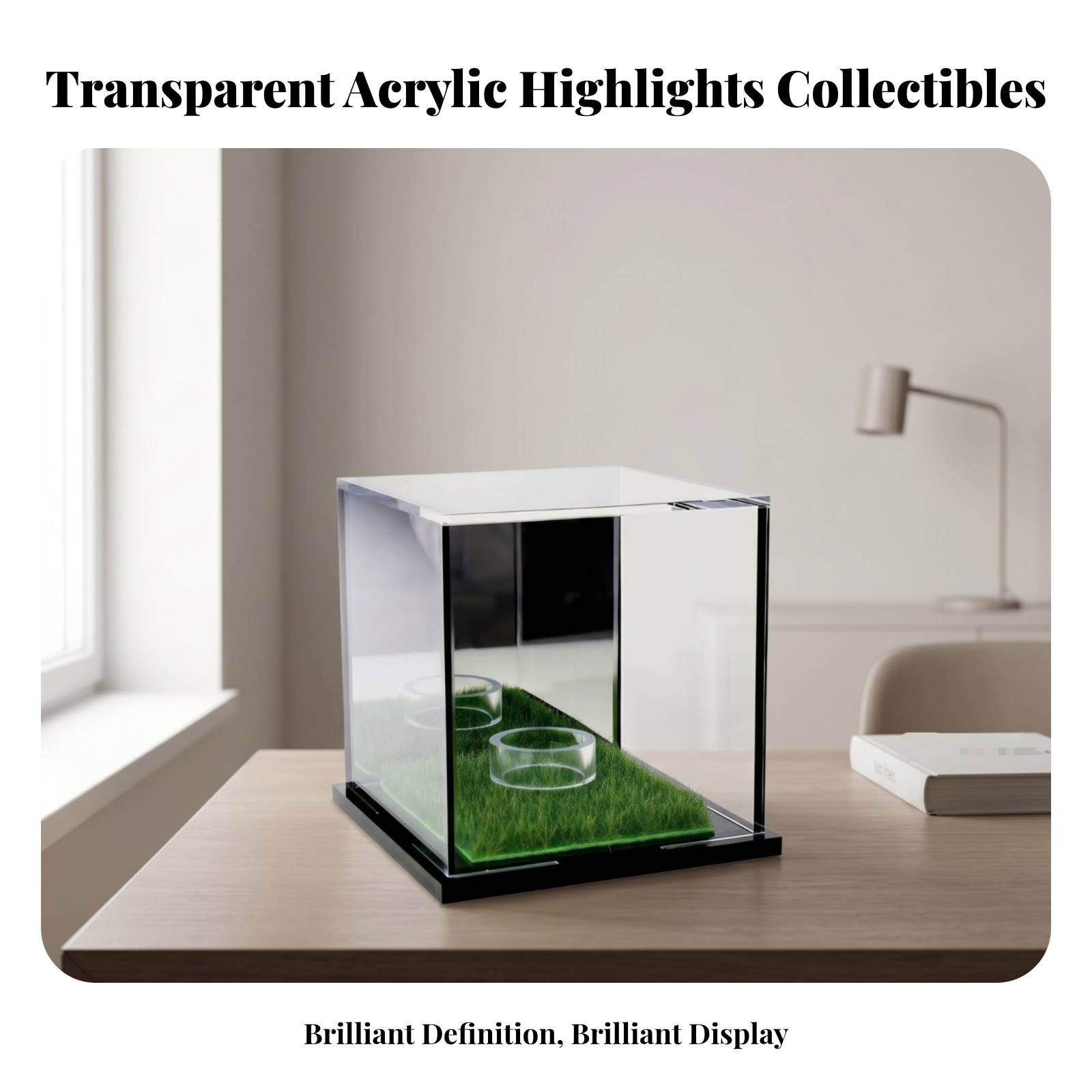 Acrylic Display Case Easy to C - Display Case Acrylic recensione e prezzo