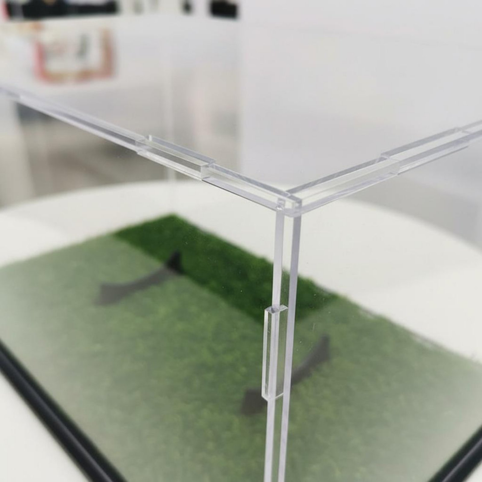 Acrylic Prolate Spheroid Box D - Display Case Acrylic recensione e prezzo