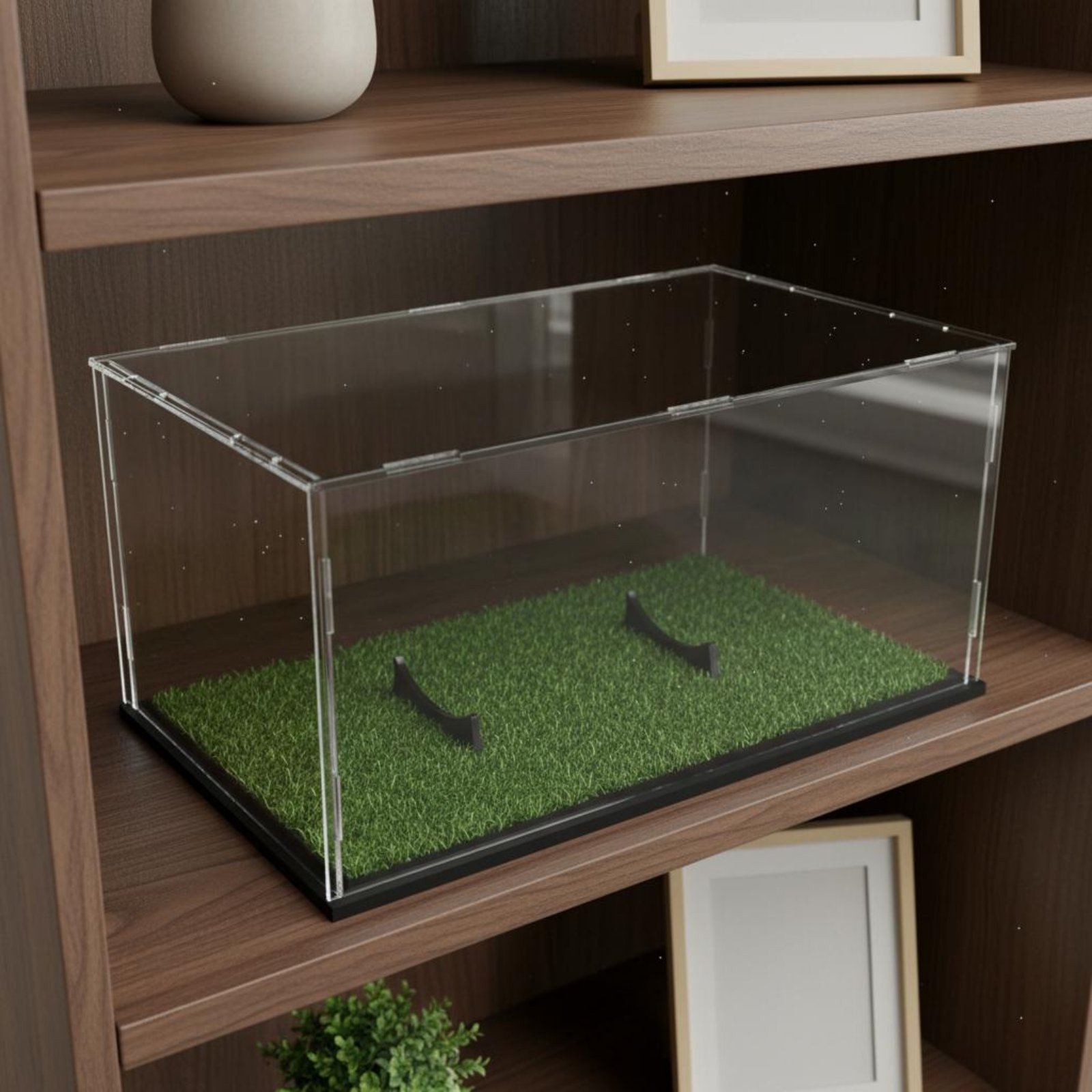 Acrylic Prolate Spheroid Box D - Display Case Acrylic recensione e prezzo